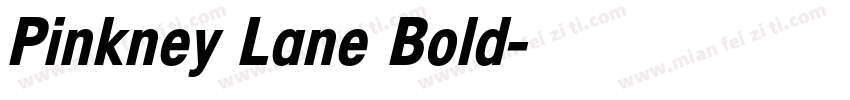 Pinkney Lane Bold字体转换